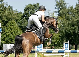 Banner Springturnier des Reit-und Fahrvereins Amsham am 22.08 & 23.08.2026